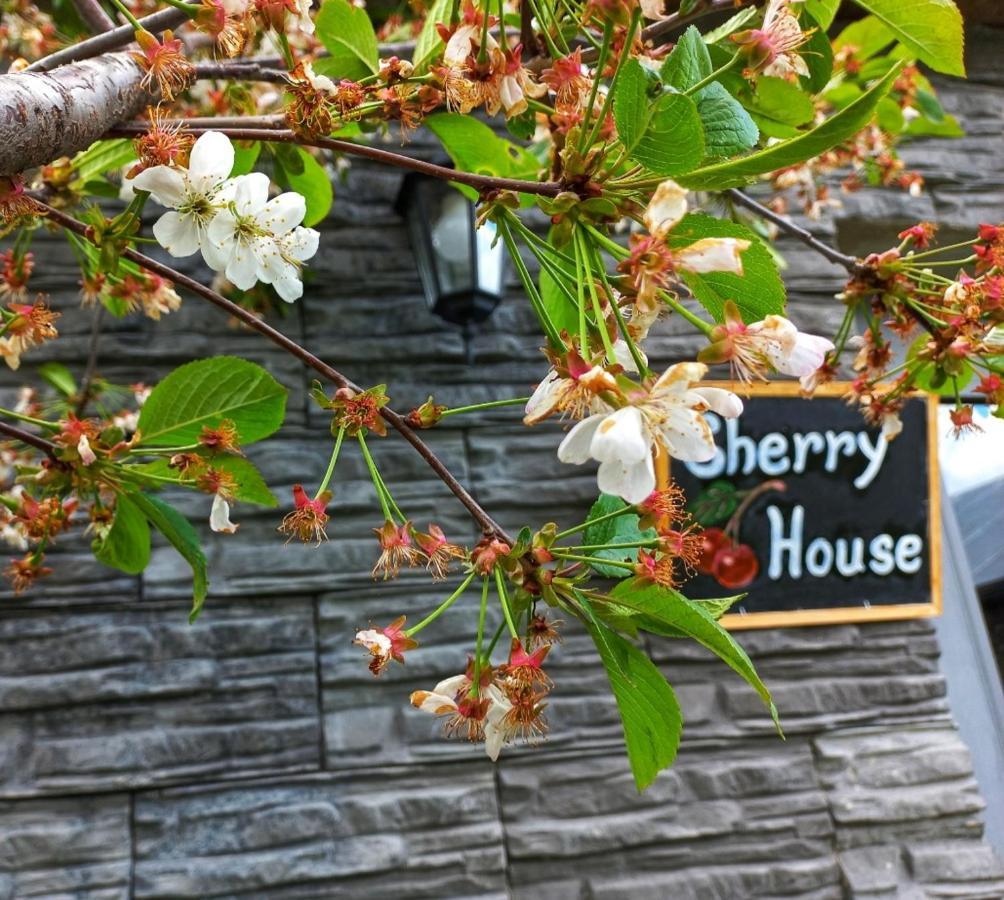 Cherry House Kazbegi Eksteriør bilde