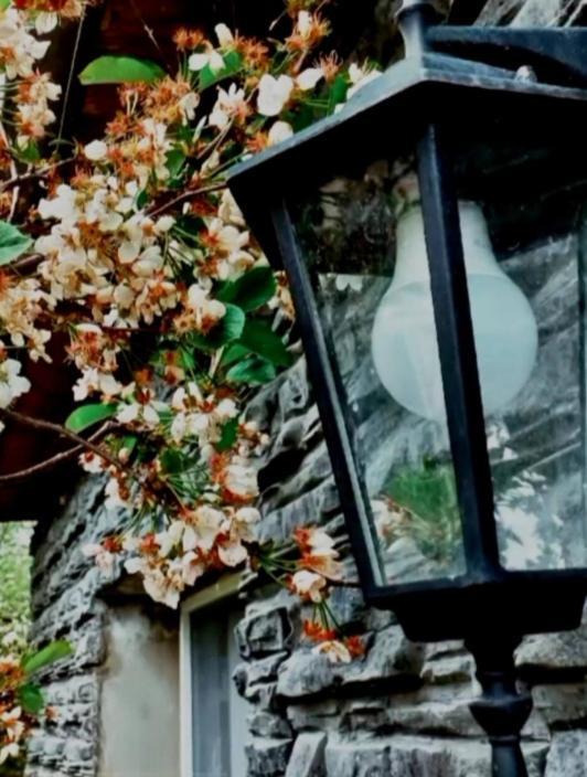 Cherry House Kazbegi Eksteriør bilde